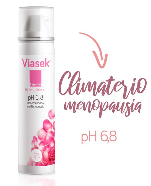 Viasek Espuma Ph6.8 Fco. X 75 Ml (66Gr)