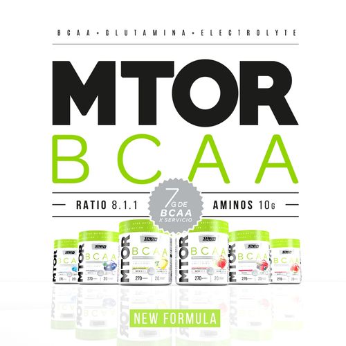 Star Nutrition Mtor Bcaa Fruit Punch Envase X 270 G