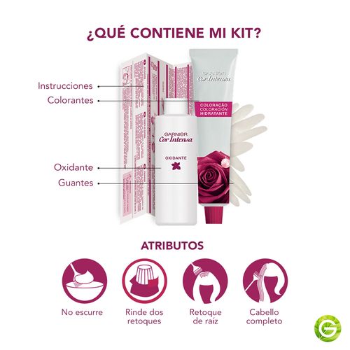 Kit Tintura Permanente Cor Intensa Tono 1.0