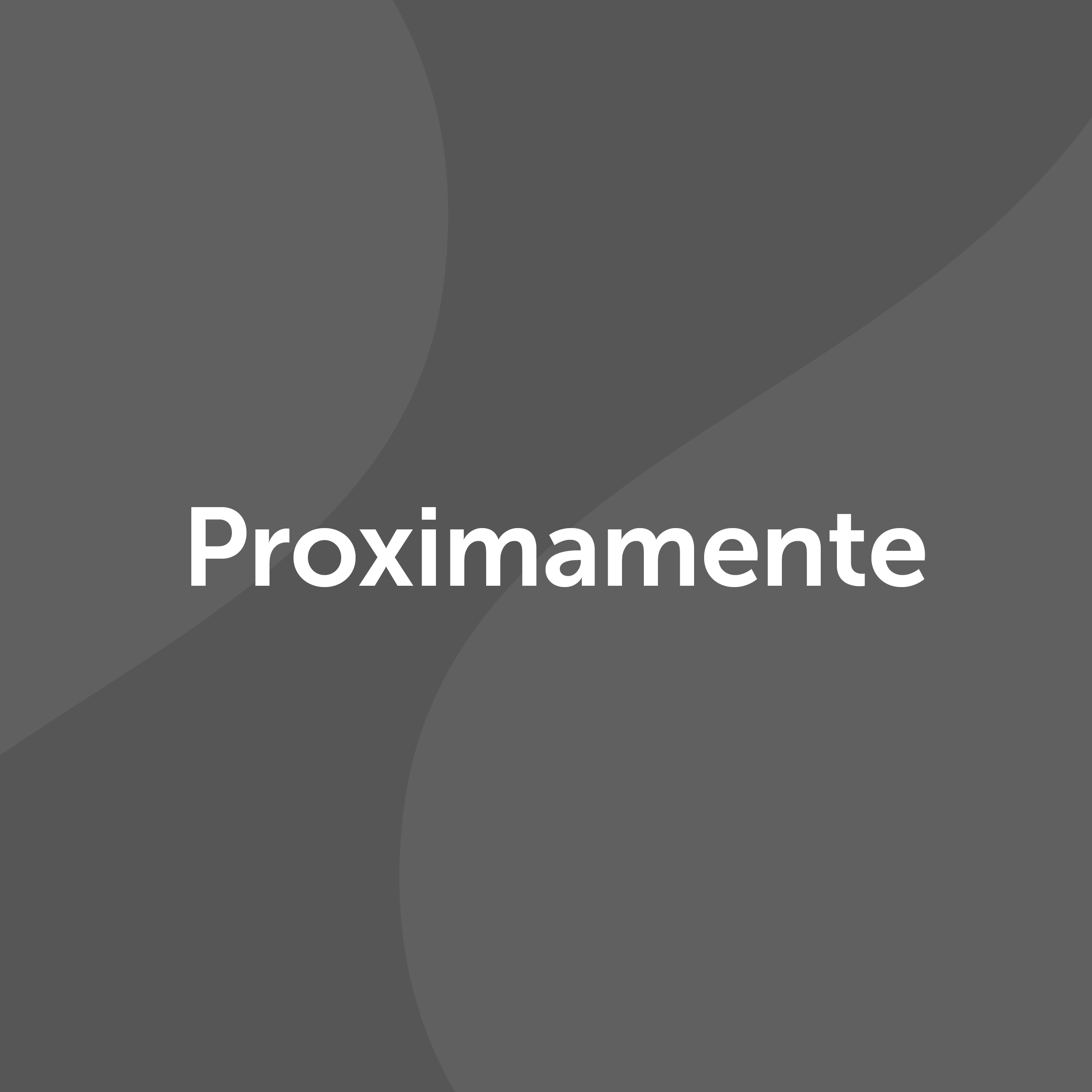 Día 3