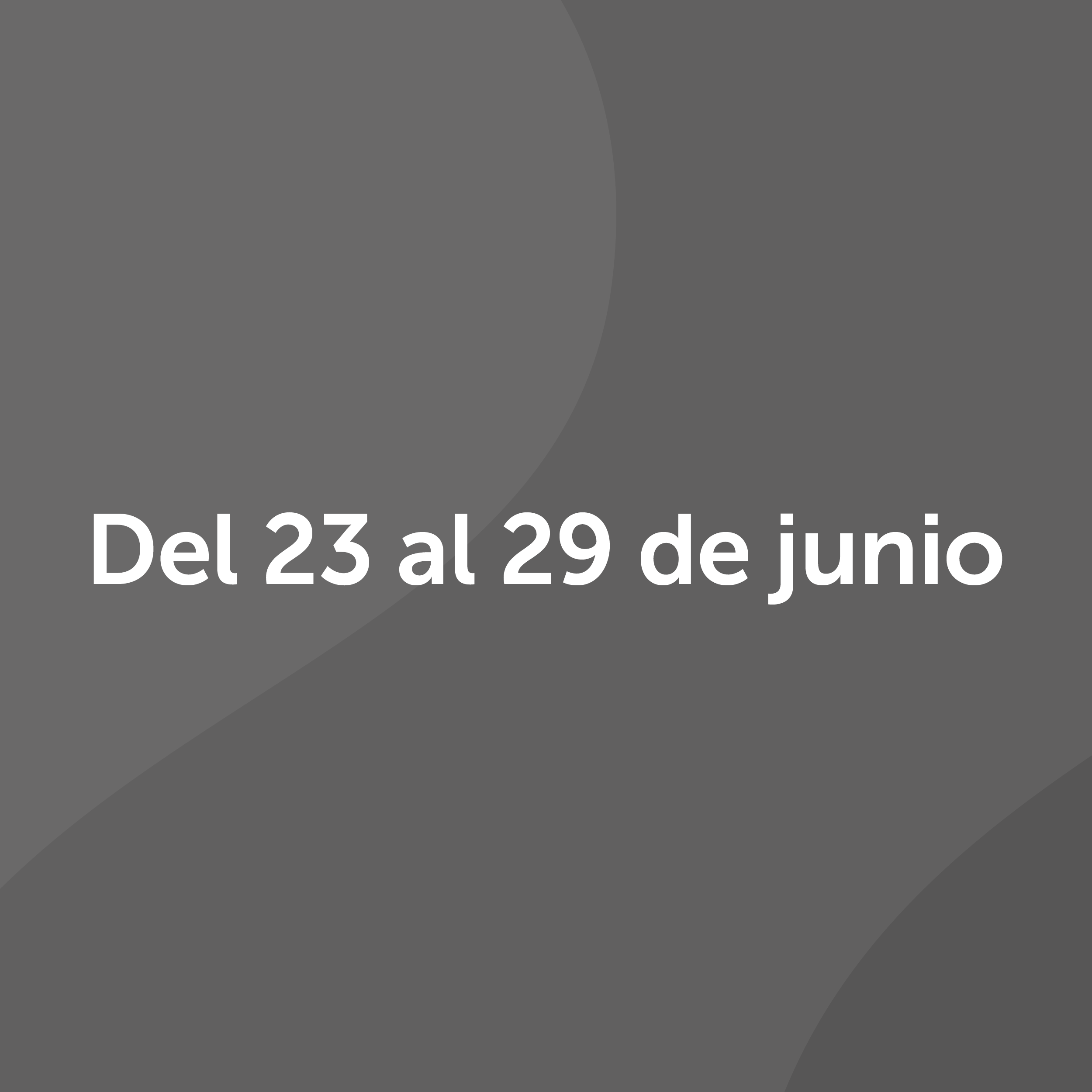 Día 2