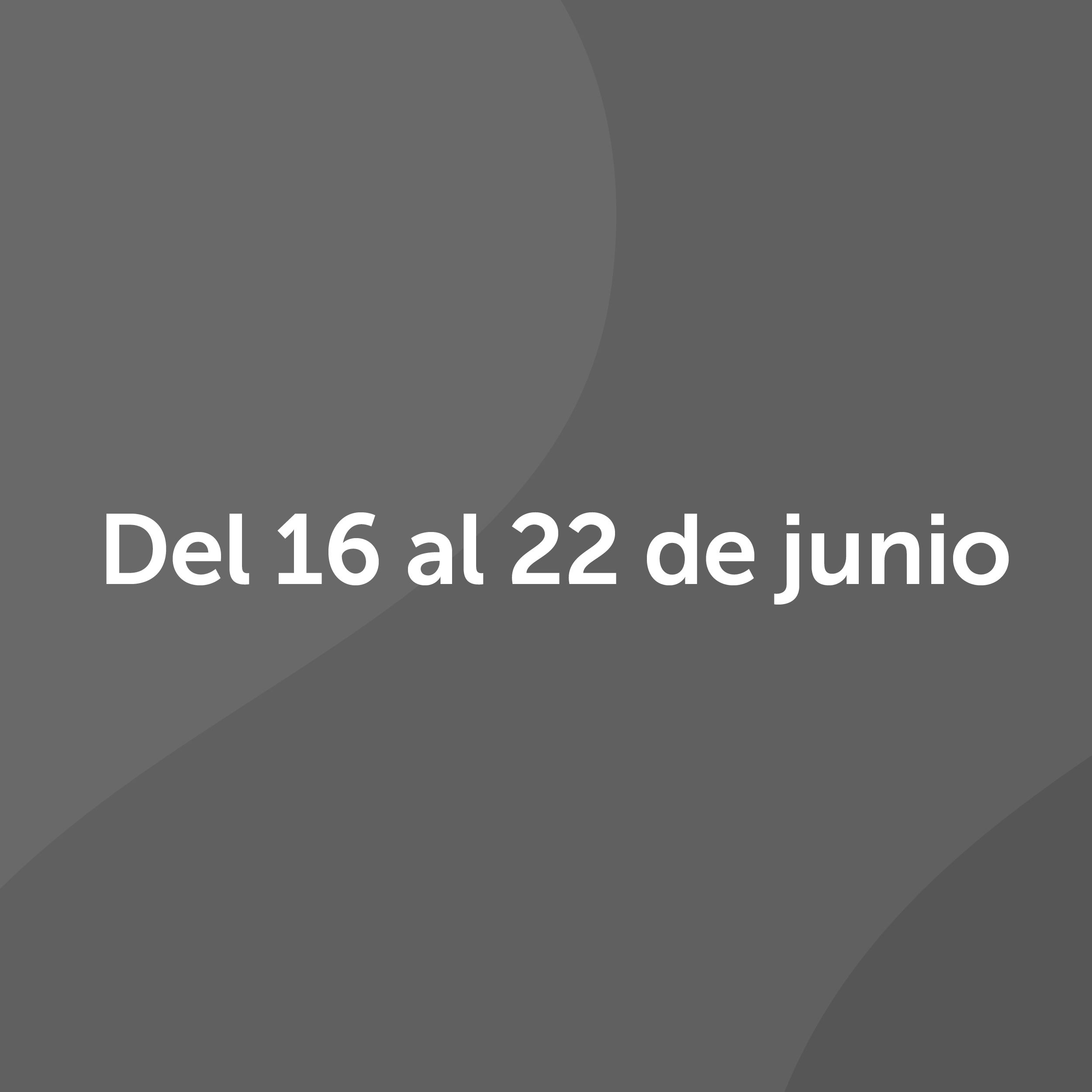 Día 2